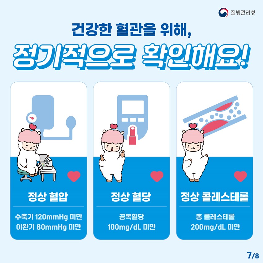 7.심뇌혈관질환 예방관리를 위한 '자기혈관 숫자알기'❤️